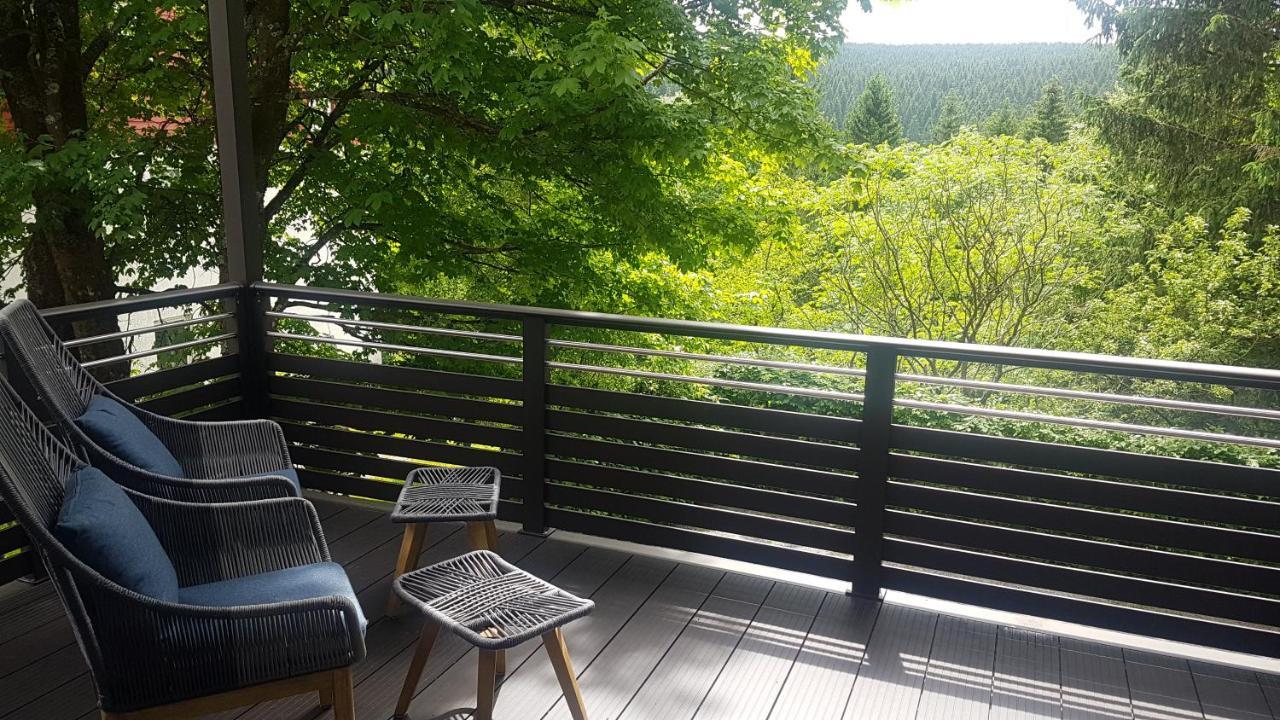 Pension & Ferienwohnung Oberhof 810 M Extérieur photo